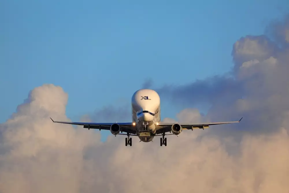 Černá Čočka Beluga Recept